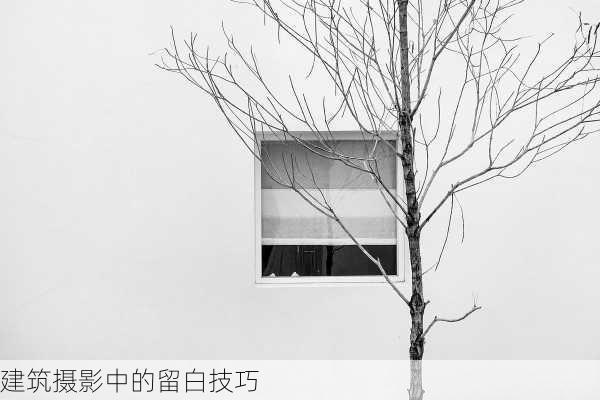 建筑摄影中的留白技巧