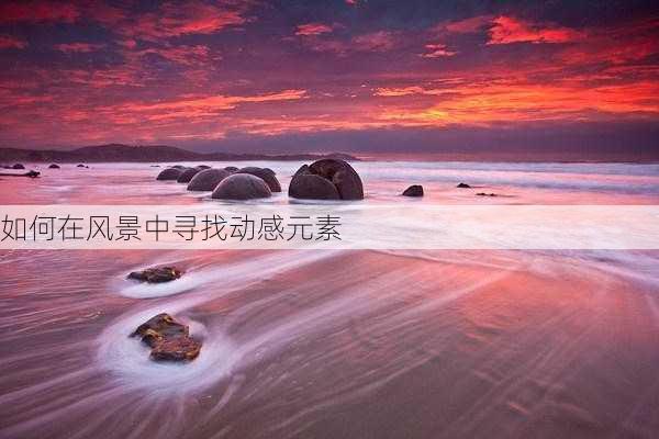 如何在风景中寻找动感元素