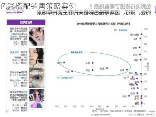 色彩搭配销售策略案例