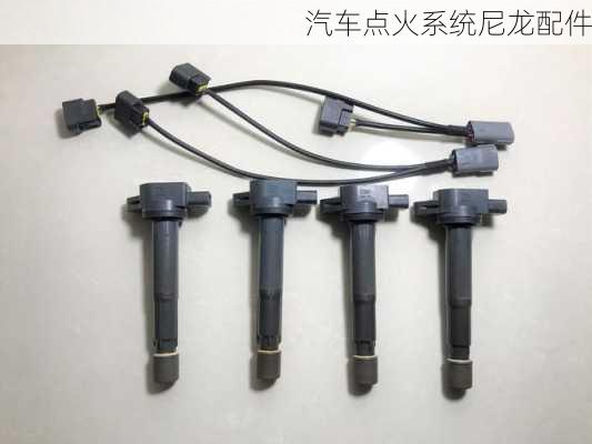 汽车点火系统尼龙配件