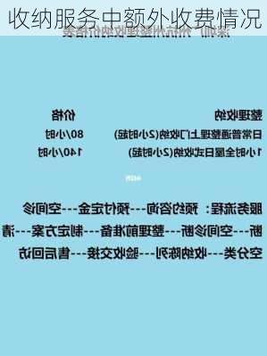 收纳服务中额外收费情况