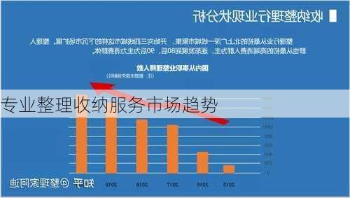 专业整理收纳服务市场趋势