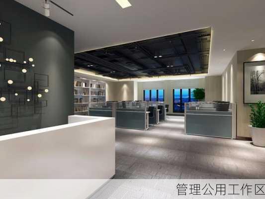 管理公用工作区