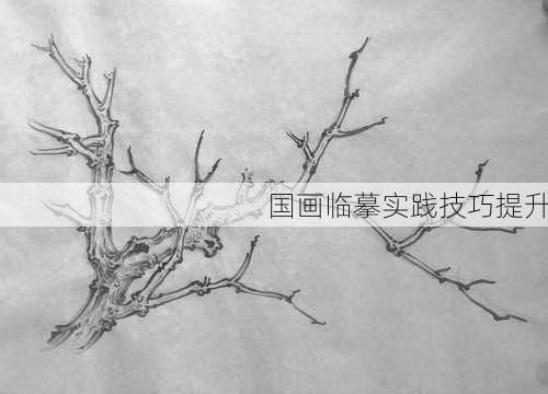 国画临摹实践技巧提升