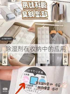 除湿剂在收纳中的应用