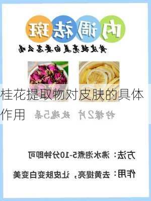 桂花提取物对皮肤的具体作用