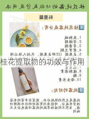 桂花提取物的功效与作用