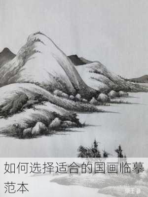 如何选择适合的国画临摹范本