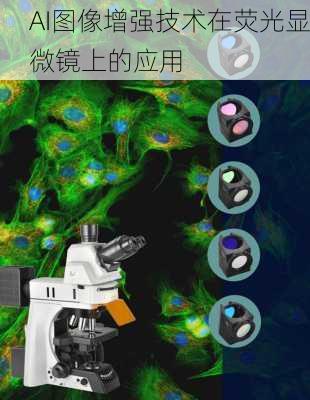 AI图像增强技术在荧光显微镜上的应用