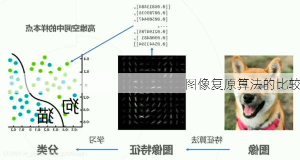 图像复原算法的比较