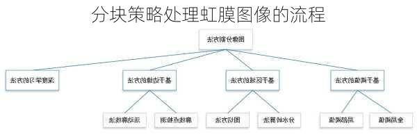 分块策略处理虹膜图像的流程