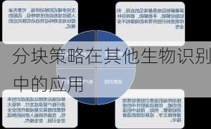 分块策略在其他生物识别中的应用