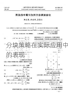分块策略在实际应用中的表现
