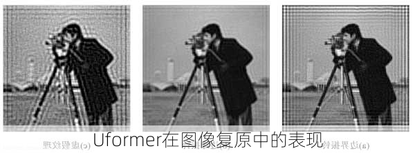 Uformer在图像复原中的表现