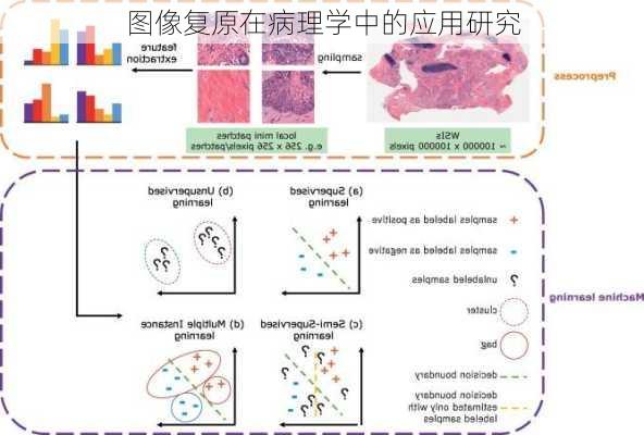 图像复原在病理学中的应用研究