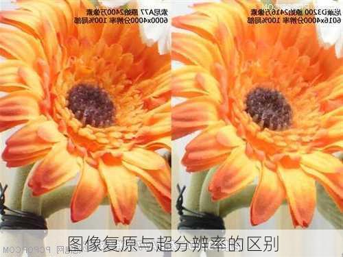 图像复原与超分辨率的区别