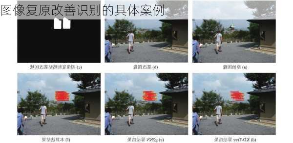 图像复原改善识别的具体案例