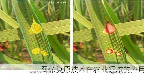 图像复原技术在农业领域的应用