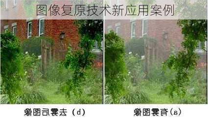 图像复原技术新应用案例