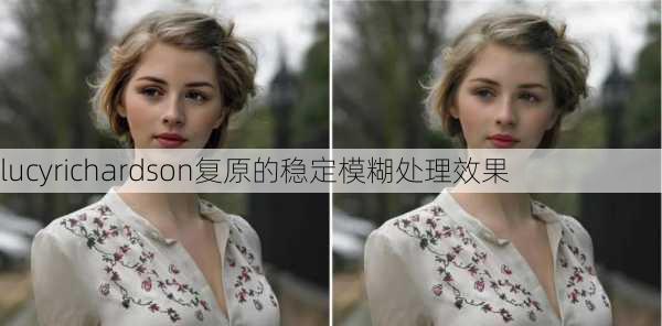 lucyrichardson复原的稳定模糊处理效果
