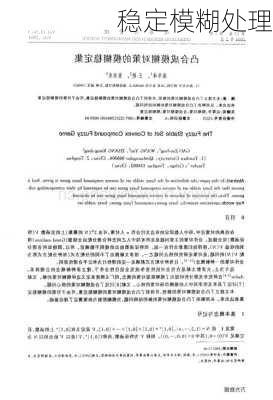 稳定模糊处理
