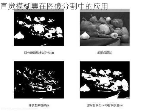 直觉模糊集在图像分割中的应用