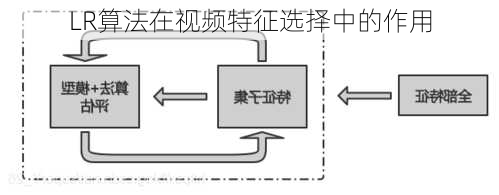 LR算法在视频特征选择中的作用