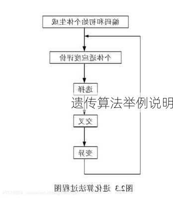 遗传算法举例说明