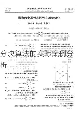 分块算法的实际案例分析