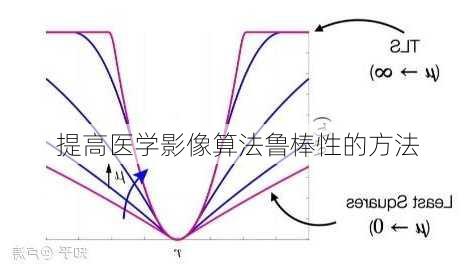 提高医学影像算法鲁棒性的方法