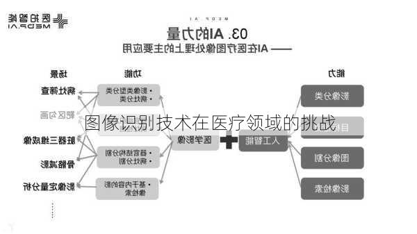 图像识别技术在医疗领域的挑战