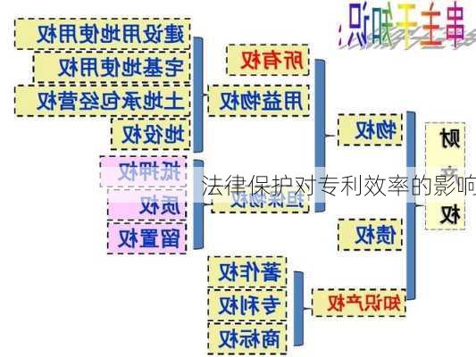 法律保护对专利效率的影响