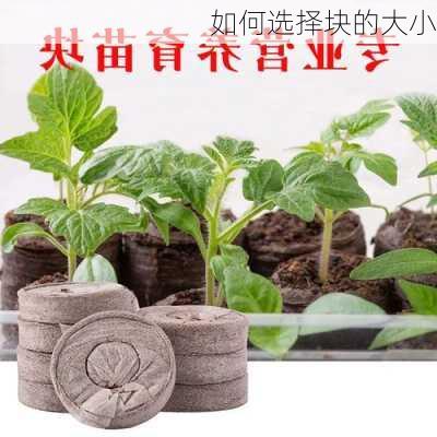 如何选择块的大小