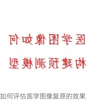 如何评估医学图像复原的效果