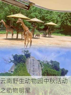 云南野生动物园中秋活动之动物明星