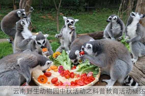 云南野生动物园中秋活动之科普教育活动概述