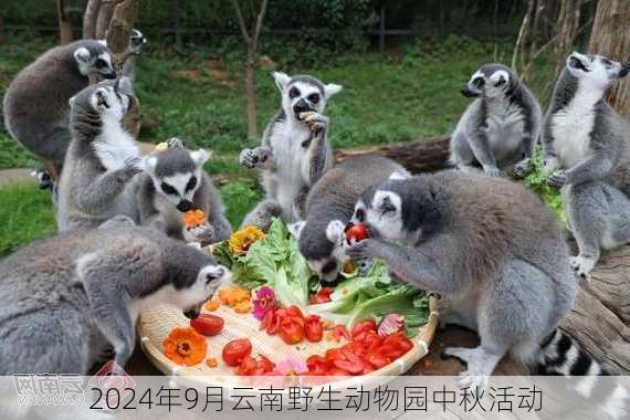 2024年9月云南野生动物园中秋活动