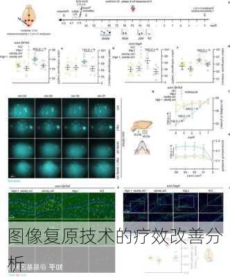 图像复原技术的疗效改善分析
