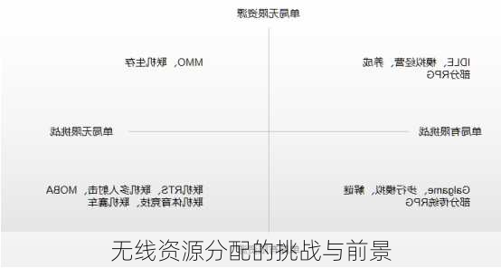 无线资源分配的挑战与前景