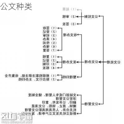 公文种类
