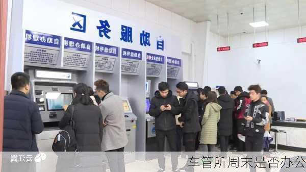 车管所周末是否办公