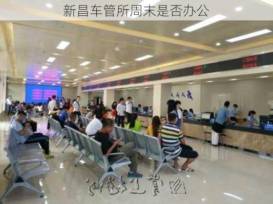 新昌车管所周末是否办公