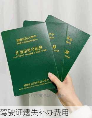 驾驶证遗失补办费用