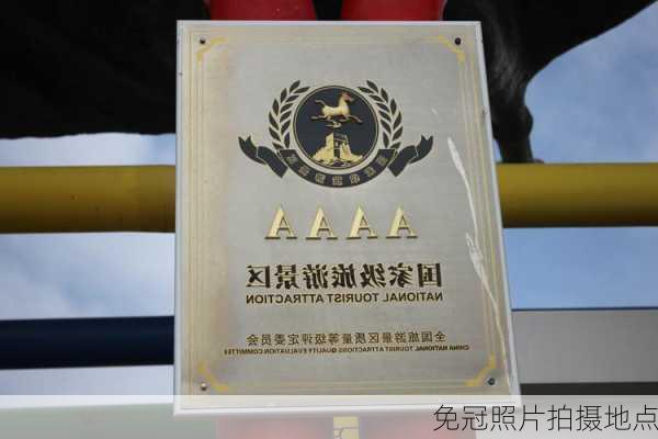 免冠照片拍摄地点
