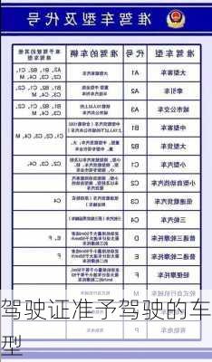 驾驶证准予驾驶的车型