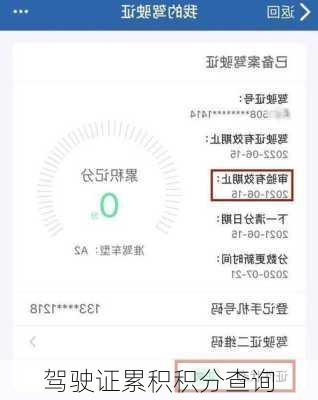 驾驶证累积积分查询