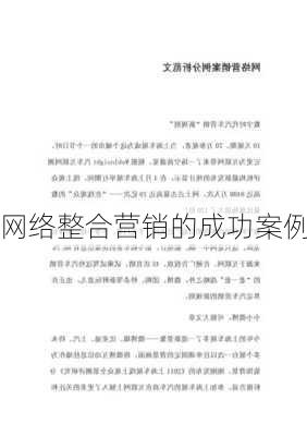网络整合营销的成功案例