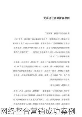 网络整合营销成功案例