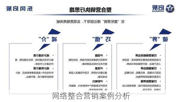 网络整合营销案例分析