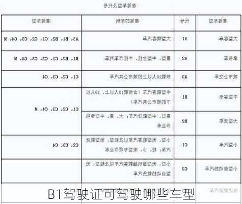 B1驾驶证可驾驶哪些车型